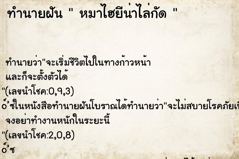 ทำนายฝันทำนายฝันหมาไฮยีน่าไล่กัด